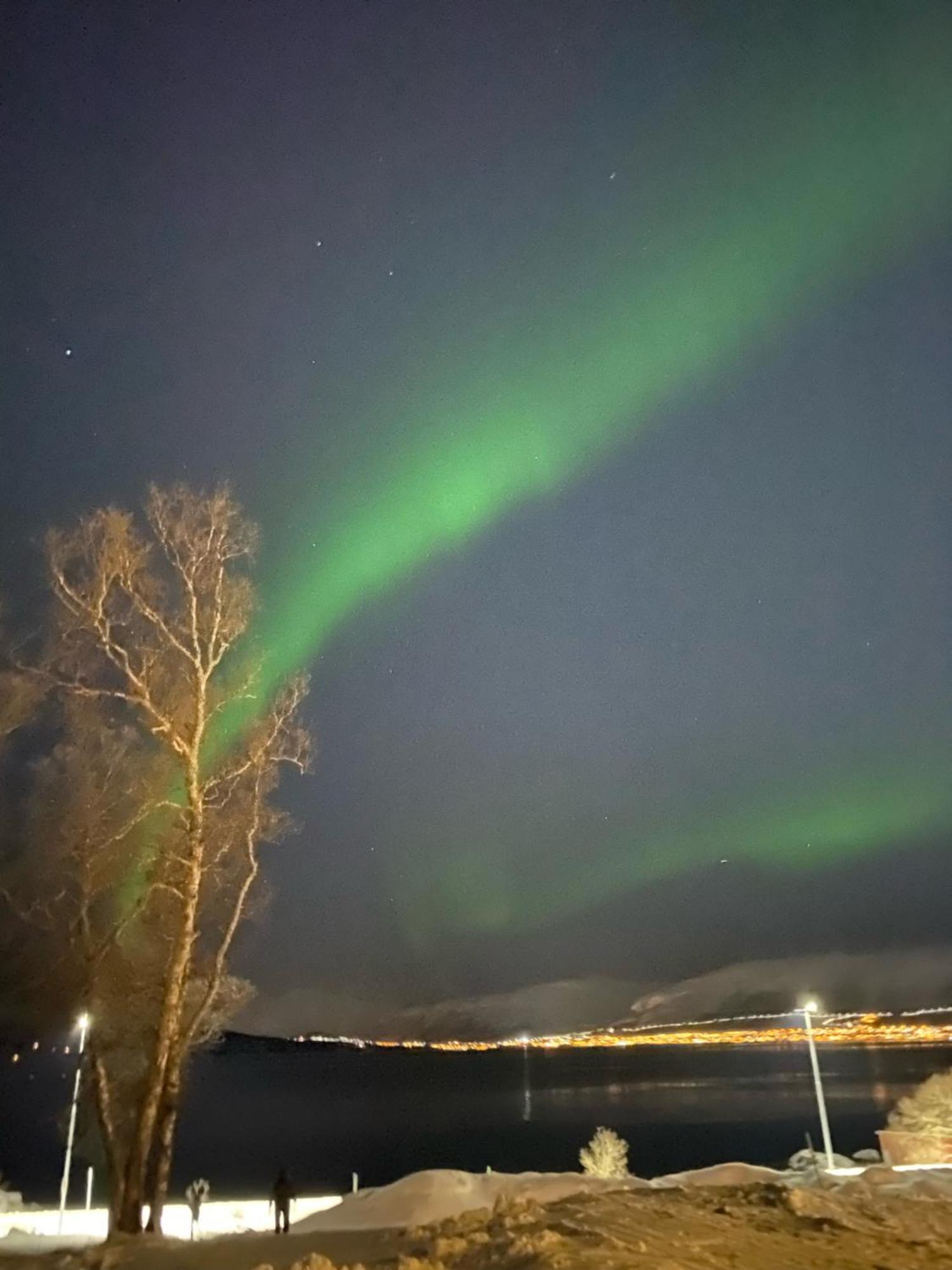 Appartamento Nordheim Close To Sea Nature And Center Tromsø